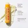 Burts Bees 2li Lip Balm Set (Beeswax + Vanilya)