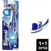 Signal White Now Beyaz Dişler 2li (1+1) Orta Diş Fırçası