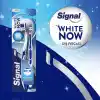 Signal White Now Beyaz Dişler 2li (1+1) Orta Diş Fırçası