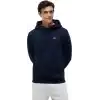 Tommy Jeans TJM REG S FLAG HOODIE Sweatshirt Erkek