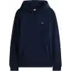 Tommy Jeans TJM REG S FLAG HOODIE Sweatshirt Erkek