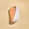 Tangle Teezer Compact Styler Rose Gold Ivory Kapaklı Saç Fırçası - Seyahat ve Çanta Boy Tarak