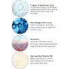 Cream Co. Leke Karşıtı Nemlendirici Yüz Temizleme Jeli Niacinamide Hyalüronik Asit,100 ML, Tüm Cilt Tipleri