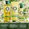Herbal Essences Parlak ve Pürüzsüz Papatya Kokulu Hepsi Bir Arada Ağırlaştırmayan Sıvı Saç Kremi 145ml