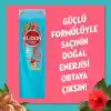 Elidor Doğanın Enerjisi Saç Bakım Şampuanı Argan Yağı & Hibiskus Özü Dökülme Karşıtı & Güçlü Uzamayı Destekleyici 400 ml