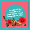 Elidor Doğanın Enerjisi Saç Bakım Şampuanı Argan Yağı & Hibiskus Özü Dökülme Karşıtı & Güçlü Uzamayı Destekleyici 400 ml