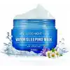 APIEU Nemlendirici Uyku Maskesi Apıeu Good Night Water Sleeping Mask