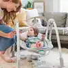 Ingenuity ConvertMe 2si 1 Arada Kompakt Taşınabilir Bebek Salıncağı ve Bebek Koltuğu, Pille Çalışan Titreşimler, Otomatik Sallanma, Doğa Sesleri - Nash