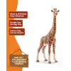 Schleich -Wild Life-Dişi Zürafa