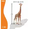 Schleich -Wild Life-Dişi Zürafa
