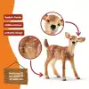 Schleich 14820 Yavru Geyik Oyuncak Figürü, Çok Renkli