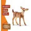 Schleich 14820 Yavru Geyik Oyuncak Figürü, Çok Renkli
