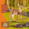 Schleich 14820 Yavru Geyik Oyuncak Figürü, Çok Renkli