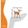 Schleich 14820 Yavru Geyik Oyuncak Figürü, Çok Renkli