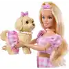 Barbie® Uyumlu Dostlar - Fiyonk Teması