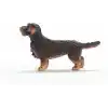 SCHLEICH Tel Tüylü Dachshund, Oyuncak Figür