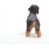 SCHLEICH Tel Tüylü Dachshund, Oyuncak Figür