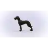 SCHLEICH Danua Oyuncak
