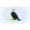 SCHLEICH Harpia Kartalı Oyuncak
