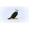 SCHLEICH Harpia Kartalı Oyuncak