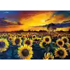 Yappuzz Güneş Hasatı 1000 Parça Puzzle
