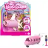 Barbie HYF40 | Mini BarbieLand Dreamplane