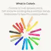 Colorix, Amos Crx5Pc12 Colorix Üçü Bir Arada 12li Pp Kutu, Çok Renkli
