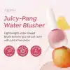 APIEU Juicy-Pang RD01 Kırmızı Likit Allık 9g