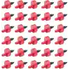 Rain Bird SW20-30PS Drip Irrigation Spot Watering Dripper/Emitter, 2 Gallon Per Hour, 30-Pack