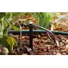 Rain Bird SW20-30PS Drip Irrigation Spot Watering Dripper/Emitter, 2 Gallon Per Hour, 30-Pack