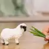 SCHLEICH Siyah Burunlu Koyun Oyuncak