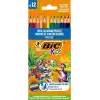 BIC Smooth Ahşap Kuru Boya Kalemi 12 Renk, Ahşap Kuru Boya,Altıgen Gövde, 5 Yaş Üzeri için İdeal, Canlı Renkler
