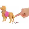 Barbie ve Köpekçiğin Yürüyüş Zamanı oyuncak seti, yürüyen ve tuvaletini yapan oyuncak köpek, Barbie Malibu bebek, kürek ve evcil hayvan aksesuarları, JJB46
