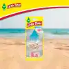 Car Freshner Asma Koku Plaj Günleri