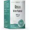 Orzax Ocean Krom Pikolinat 20 Mcg 90 Kapsül