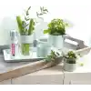 Edding Su Yeşili Premium Akrilik Sprey Boya 200 ml 5200928
