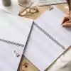 A4 Spiralli Karton Kapak 2’li Set Noktalı Okul Defteri 80 yaprak, Ders Programlı Pembe Puantiye