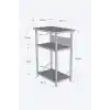 Yazıcı Sehpası 3 Katlı Çok Amaçlı Raf Metal Ayaklı Printer Stand Ofis Ev Düzenleyici Kahverengi