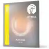 Pitbull Klasik Gitar Teli Silver Seri Normal Tansiyon SET SCG NT