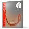 Pitbull Silver Akustik Gitar Teli SAG L 11-52 Light