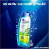 Head & Shoulders Derinlemesine Temizlik Şampuan Yağlanma Kontrolü Limon 300 ml