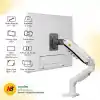 North Bayou NB F80 Profesyonel 17-32 Inch Monitör Standı 2026 Versiyon (Beyaz)