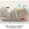 Fisher-Price® Uyku Arkadaşı Su Samuru
