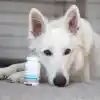 Vet Expert VetoSkin Köpek ve Kedi Tüy ve Deri Vitamini