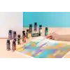 Rich 12Li 60 Cc Master-Mix Akrilik Set