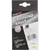 Butterfly Yetişkin Top Training Balls 40+ 6lı Beyaz