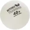 Butterfly Yetişkin Top Training Balls 40+ 6lı Beyaz