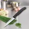 Victorinox 6.7703 SwissClassic 10cm Soyma Bıçağı, Siyah