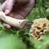Opinel Kayın Saplı Mantar Toplama Bıçağı Unisex, Kahverengi, Standart