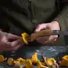 Opinel Kayın Saplı Mantar Toplama Bıçağı Unisex, Kahverengi, Standart